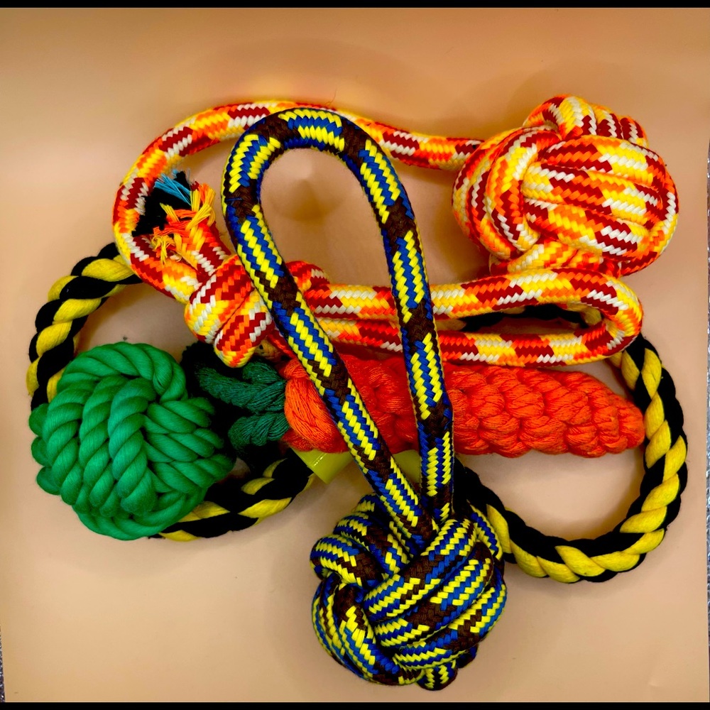 Chew Toy Bundle. 5 chew toys for the moderate chewer.